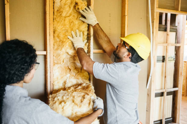Range of Insulation Solutions in Ely, MN
